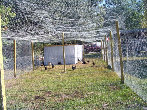 Critter safe and Hawk Free Pen