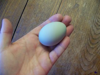 aqua egg