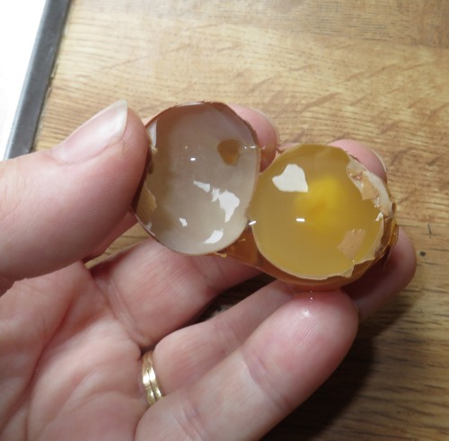 Wind Egg with a yolk