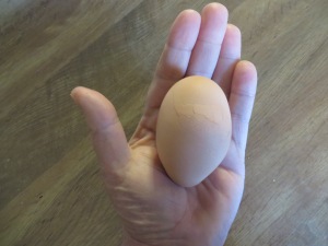 internal-cracked-egg